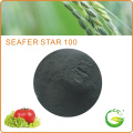 Bio Organic Seaweed Extract Fertilizer